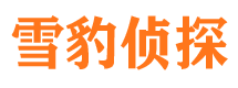 康县市私家侦探